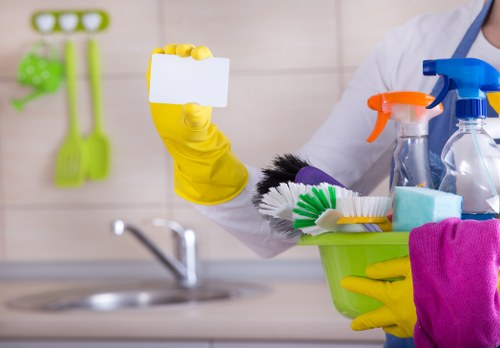 Professional carpet cleaner working in an N1 home