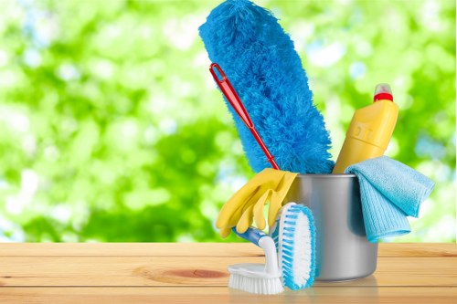 Illustration representing accessibility support for Cleaners N1
