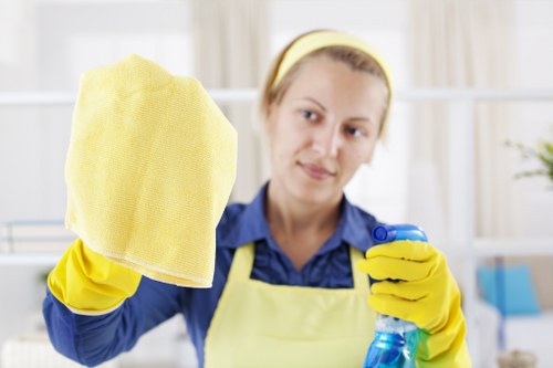 Professional cleaner delivering a high-quality Cleaners N1 service in a tidy room