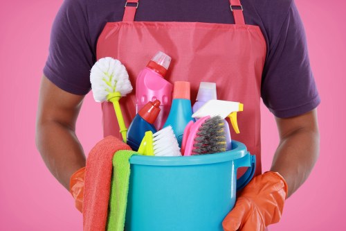 Illustration for essential cookie use on Cleaners N1 website