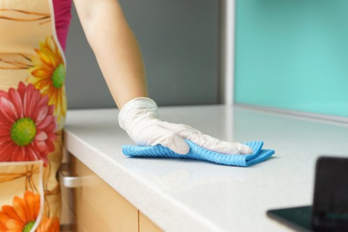 Professional move out cleaning in an N1 apartment building