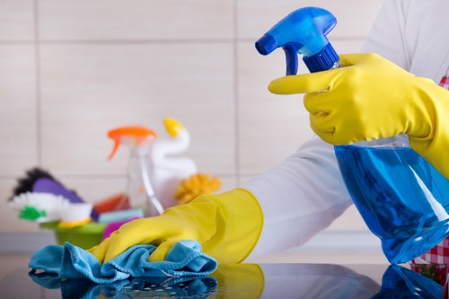 Kitchen and bathroom domestic cleaning in N1