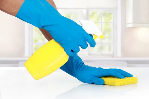 Eco-friendly office cleaning in N1 workspace