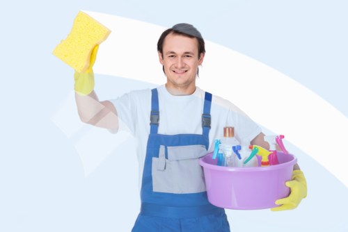 Illustration of website cookies and browsing settings for Cleaners N1