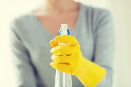 Professional home cleaners in N1 preparing a living room for cleaning