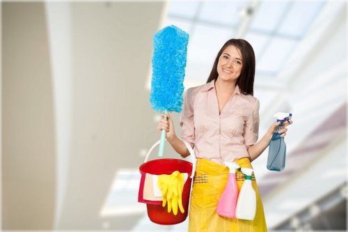 Eco-friendly cleaners in N1 using sustainable cleaning products