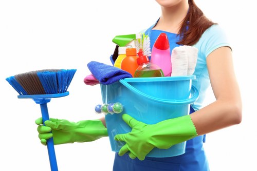 Deep cleaning service in N1 for a fresh and healthy home