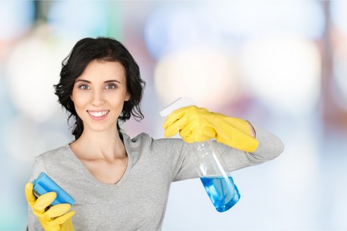 Window cleaning in N1 service for a commercial building