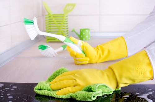 Local N1 property interior with carpet stain treatment setup