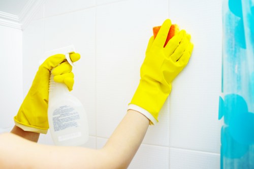 Close-up of detailed cleaning work representing Cleaners N1 standards