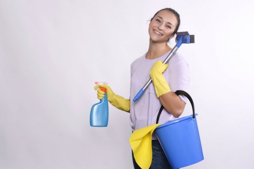 Accepted payment methods for Cleaners N1 including cards and PayPal