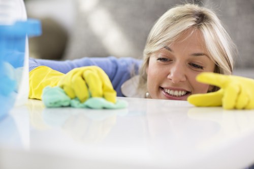 Regular home cleaning in a flat near Angel in N1