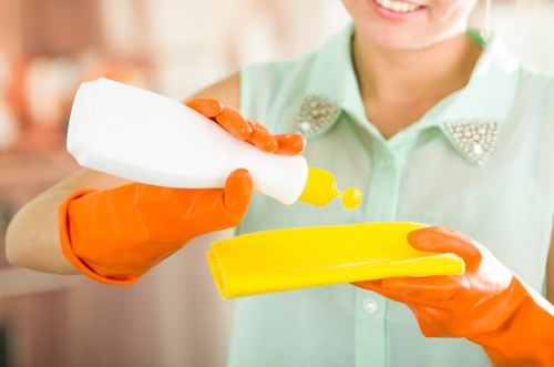 Domestic cleaning team working in a property interior