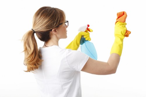 Cleaner washing glass on a property in N1