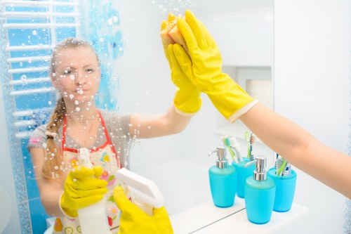 Professional home cleaning tasks in an N1 property