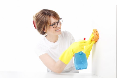 Payment and invoice details for a cleaning appointment