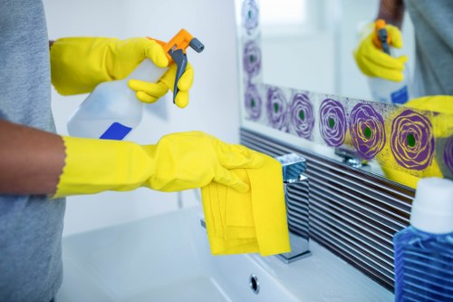 Local cleaning service covering homes and offices in N1