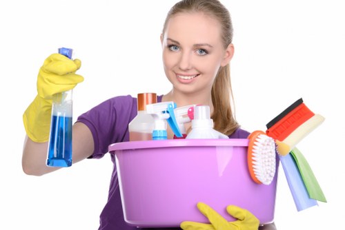 Different rug types and safe cleaning methods in N1