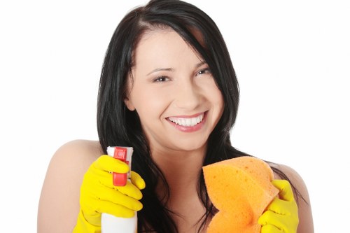 Bathroom limescale removal in an N1 rental property