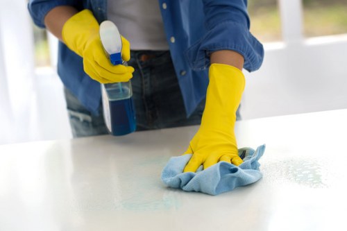 Kitchen and surface cleaning in an N1 flat