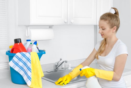 Trusted cleaner in N1 dusting and organizing a living space